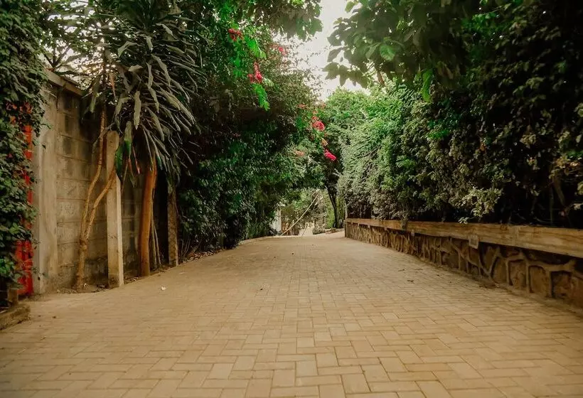 هتل Bamboo Village