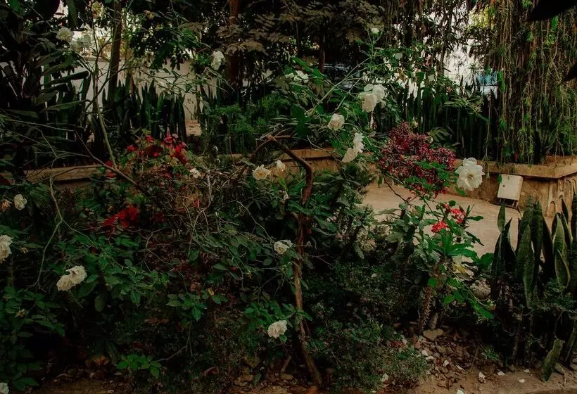 هتل Bamboo Village