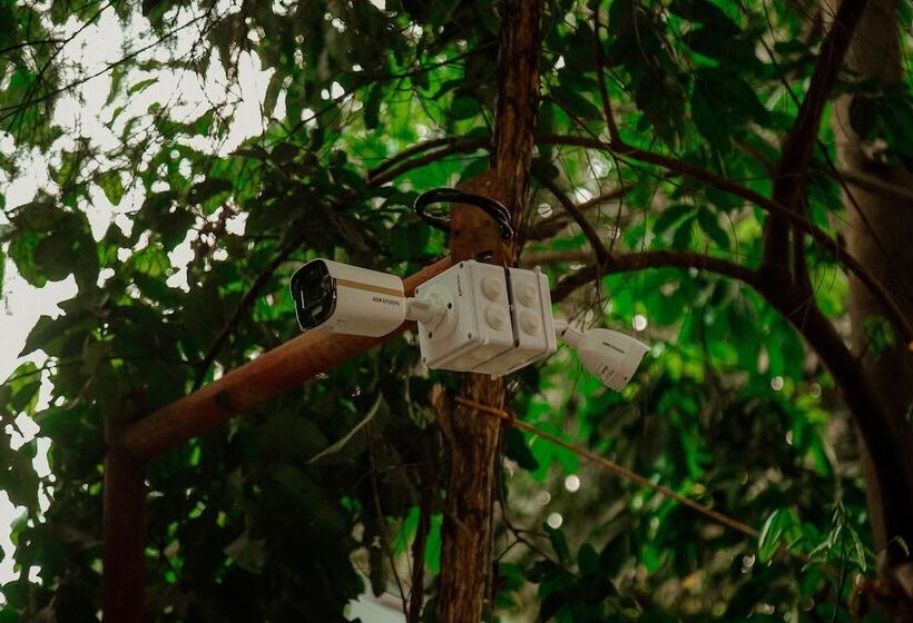 호텔 Bamboo Village