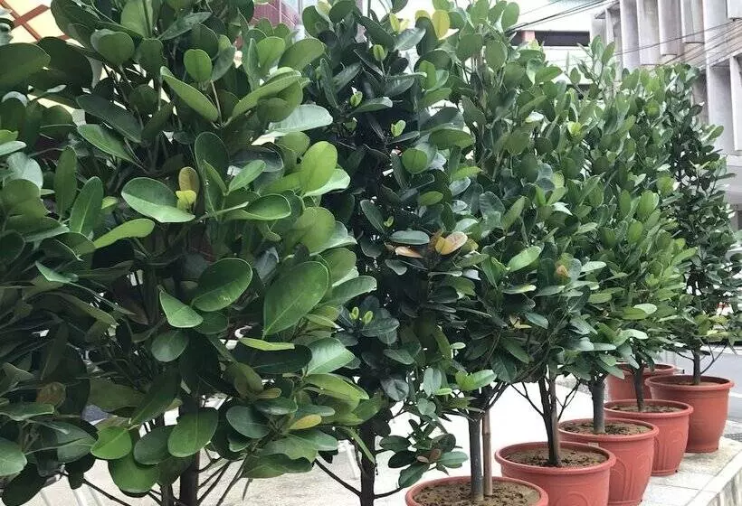 هاستل Single Inn Taipei