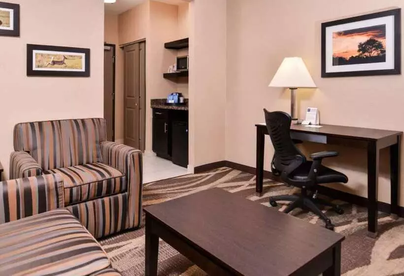 Hotel Best Western Plus Lake Jackson Inn & Suites