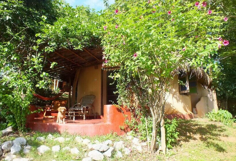 فندق Chiang Dao Roundhouses