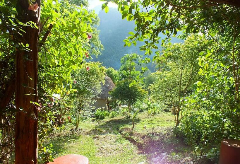 فندق Chiang Dao Roundhouses