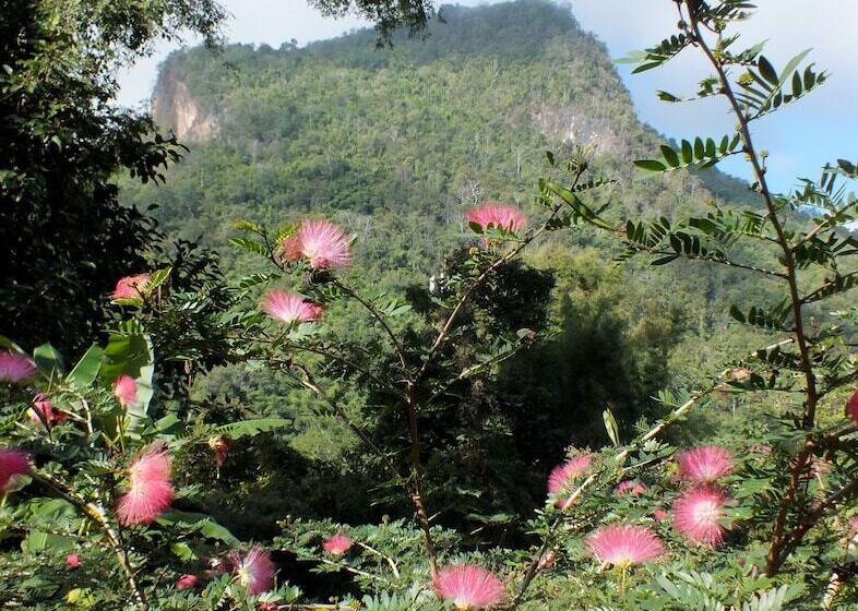 فندق Chiang Dao Roundhouses