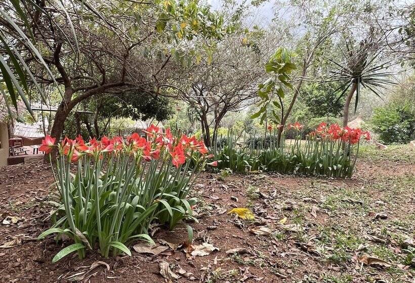 فندق Chiang Dao Roundhouses