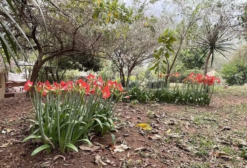 Hotelli Chiang Dao Roundhouses