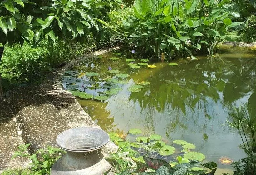 Hotelli Chiang Dao Roundhouses