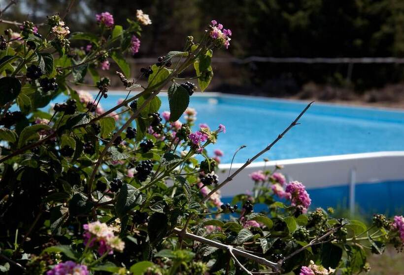 فندق Club Esse Gallura