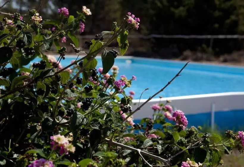 酒店 Club Esse Gallura