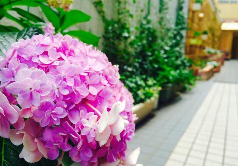 מלון כמוסות Sophiearth Apartment