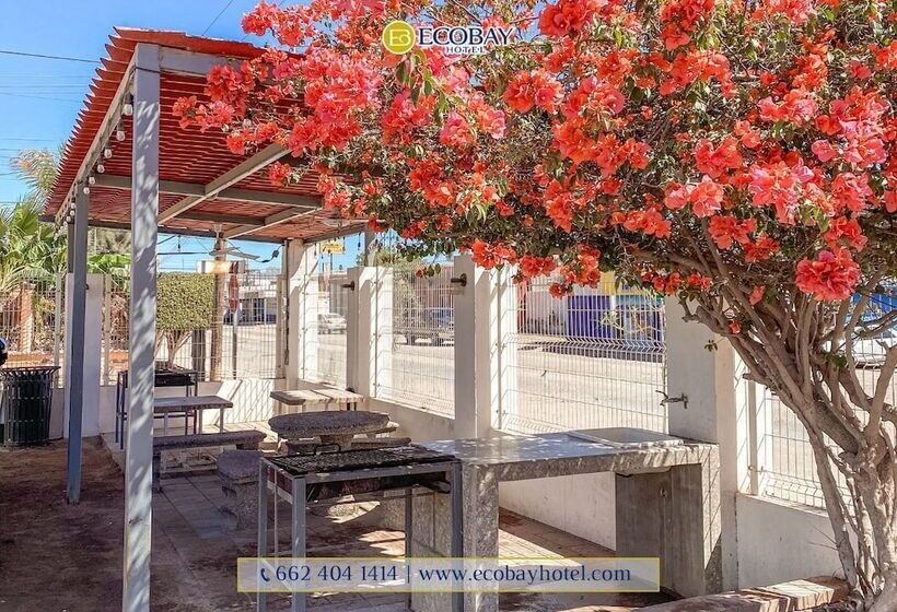 בית מלון כפרי Eco Bay