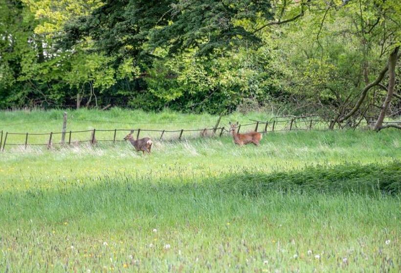 בית מלון כפרי Home Farm Boreham