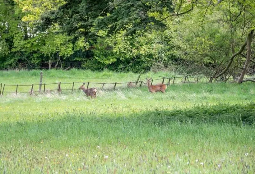 Hotel Home Farm Boreham