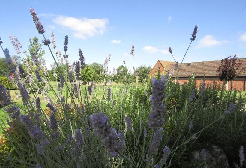 בית מלון כפרי Home Farm Boreham