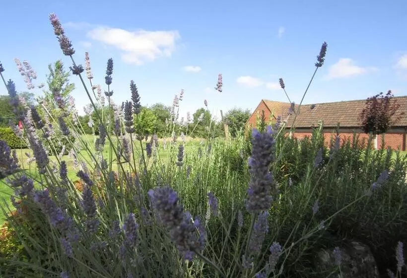 Hotel Home Farm Boreham