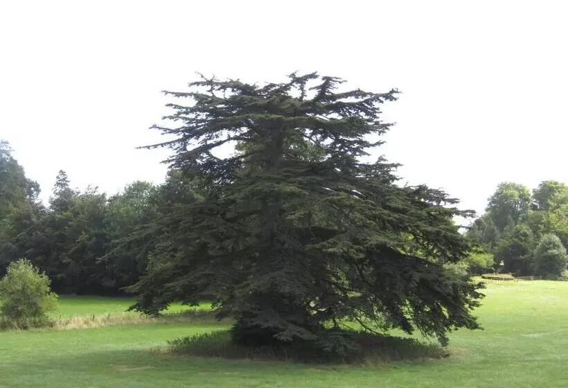 Hotel Home Farm Boreham