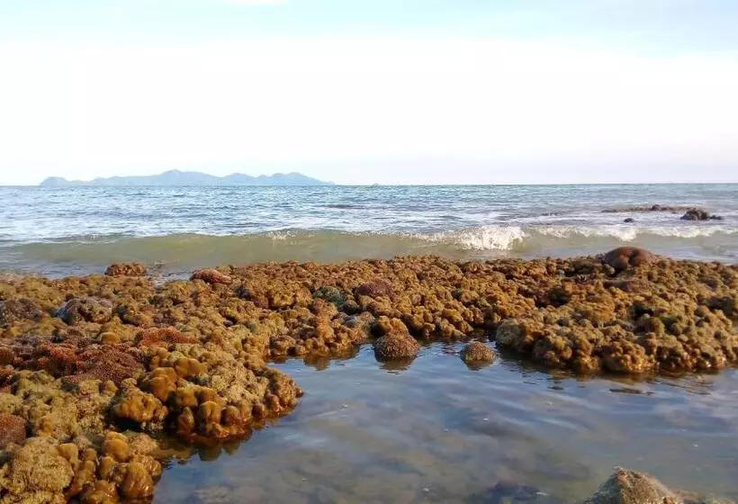 ホテル Koh Mook Hostel