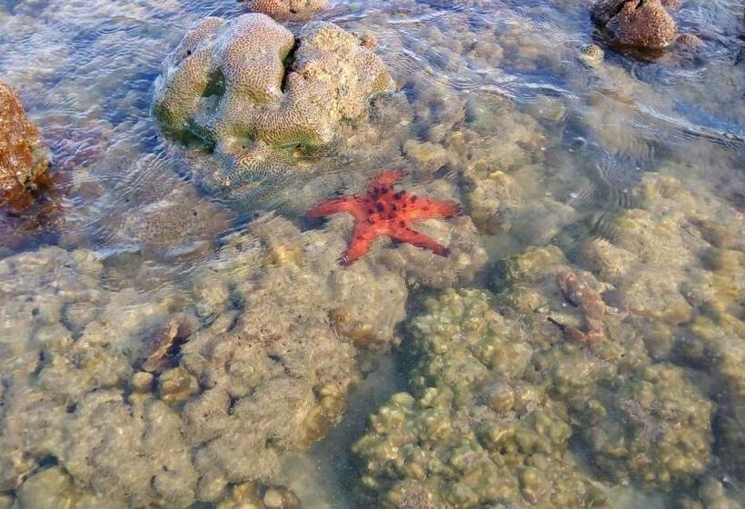 בית מלון כפרי Koh Mook Hostel