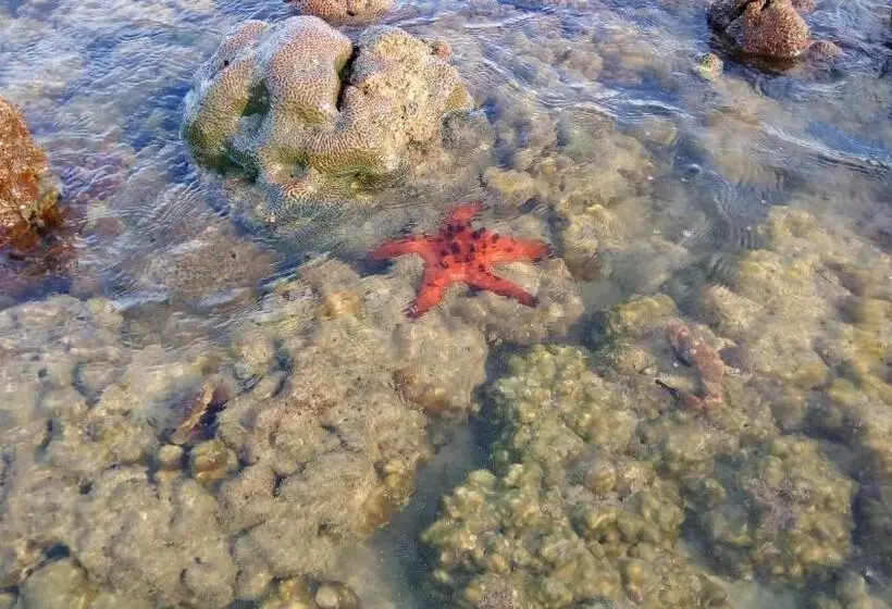 ホテル Koh Mook Hostel