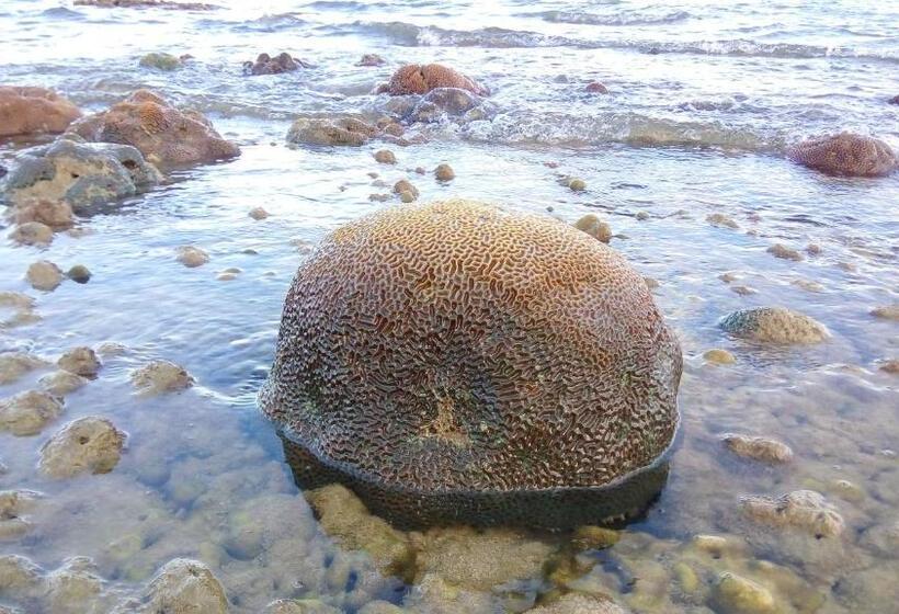 בית מלון כפרי Koh Mook Hostel