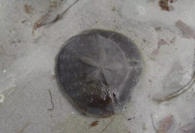 ホテル Koh Mook Hostel