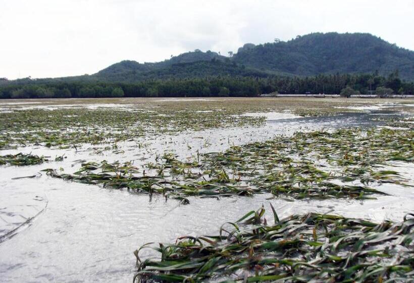 בית מלון כפרי Koh Mook Hostel