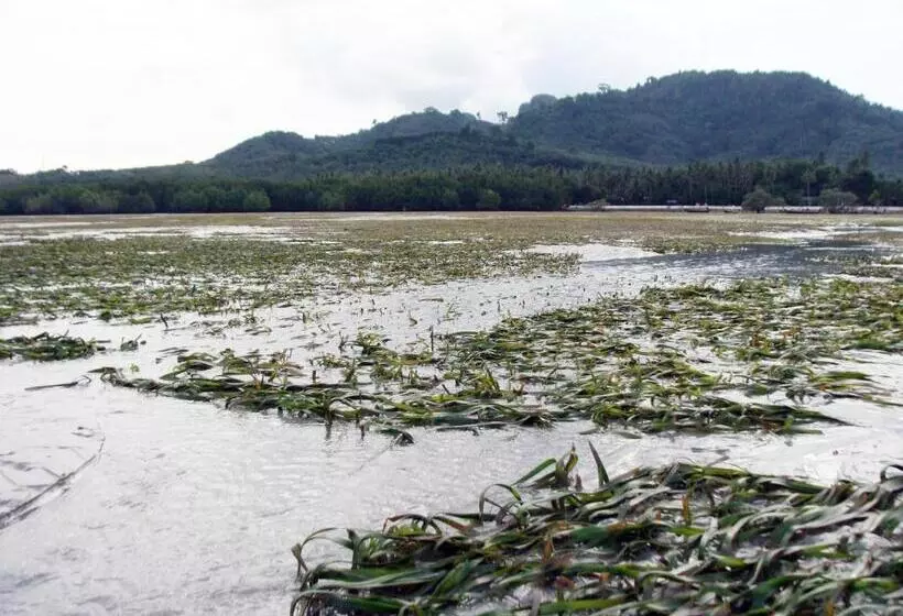 ホテル Koh Mook Hostel