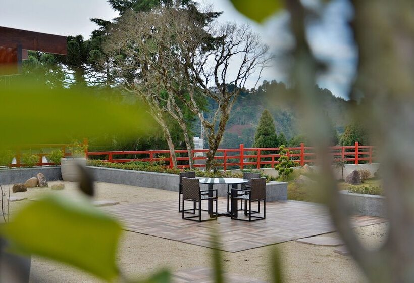 Szálloda Matsubara Pousada