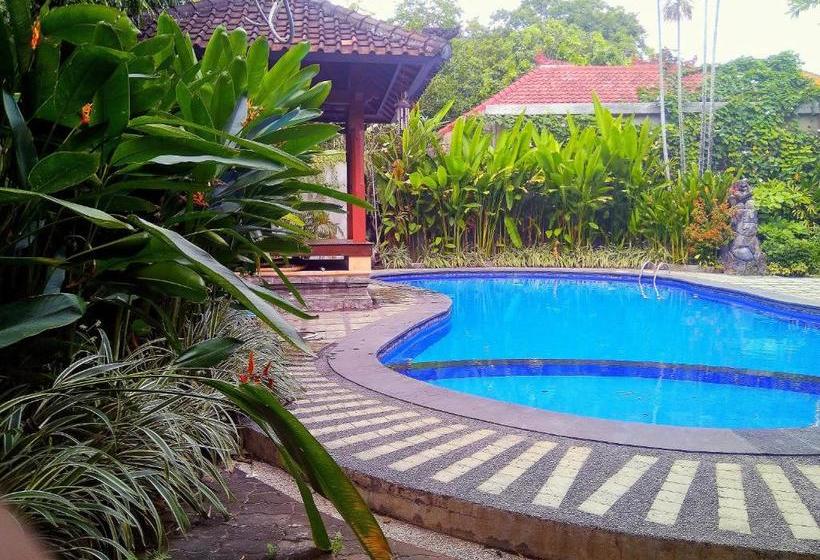 酒店 Paradiso Beach Inn