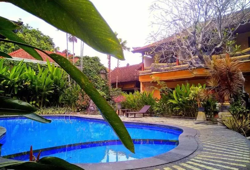 酒店 Paradiso Beach Inn