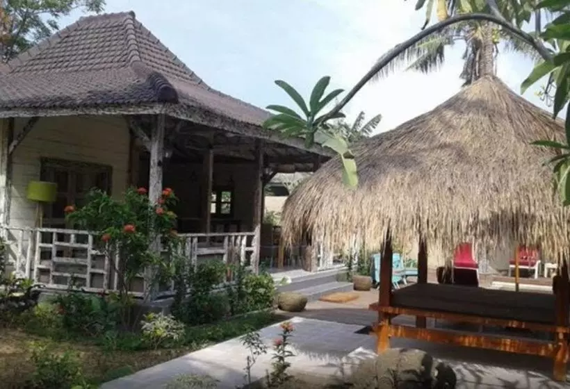 Hotell Scallywags Beach Club