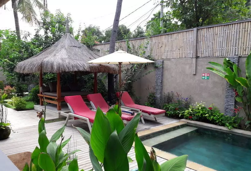 Hotell Scallywags Beach Club