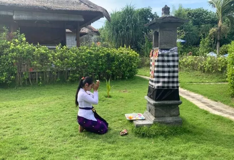 Отель Sunia Loka