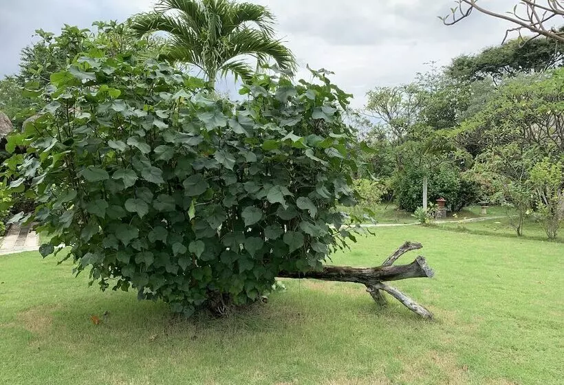 Отель Sunia Loka