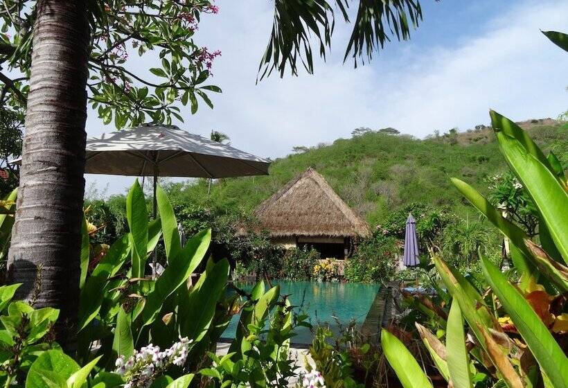 Отель Sunia Loka