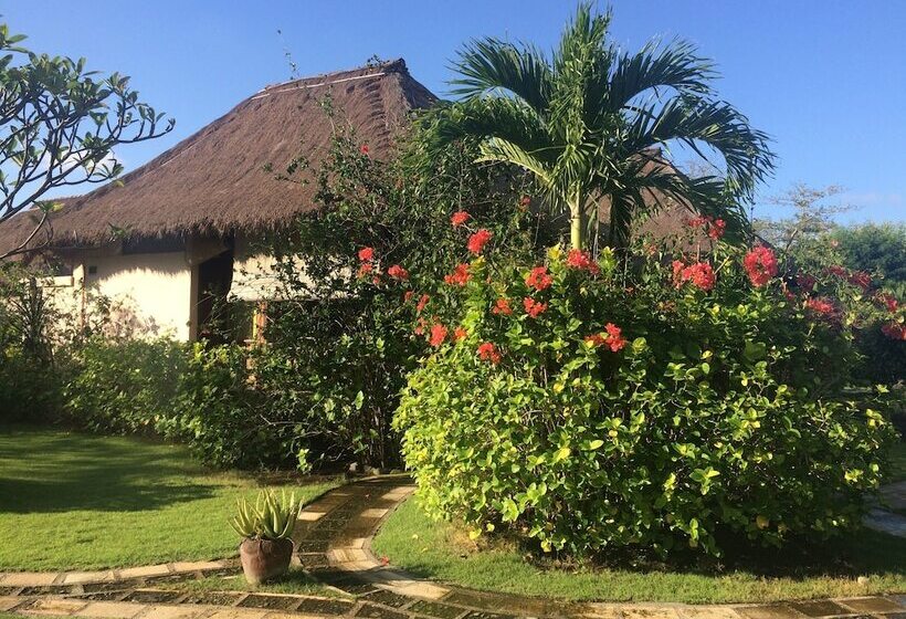 Отель Sunia Loka