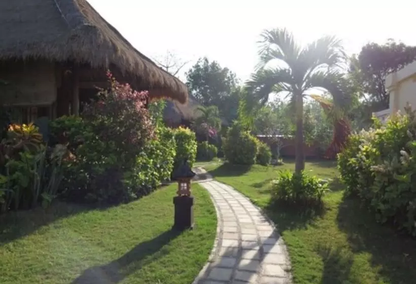 Отель Sunia Loka