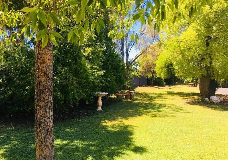 汽车旅馆 Balonne River Motor Inn