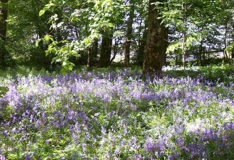 펜션 Whitchester Christian Centre