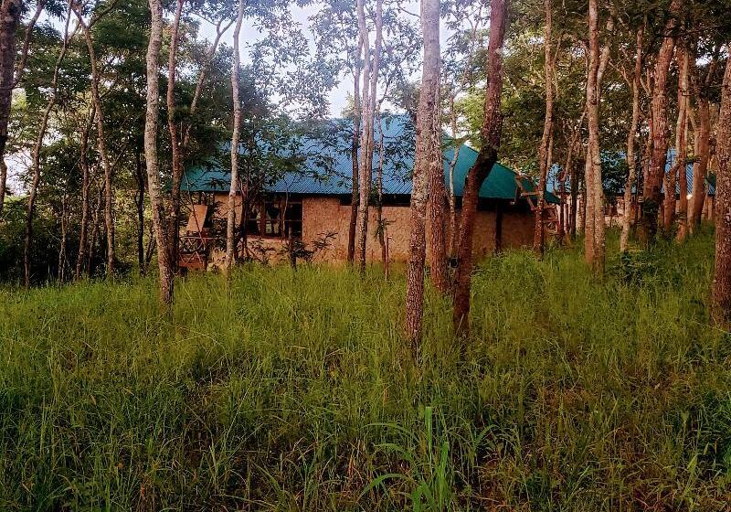 호텔 Mikumi Safari Lodge