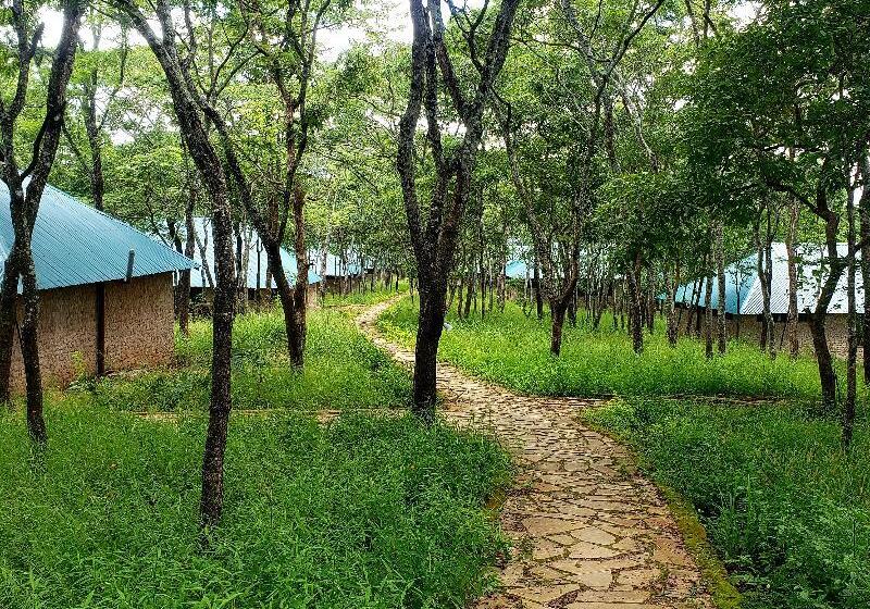 호텔 Mikumi Safari Lodge