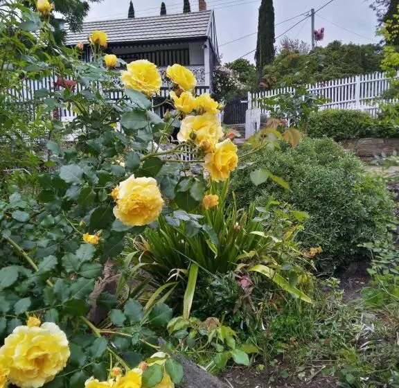 مبيت وإفطار Old Colony Inn