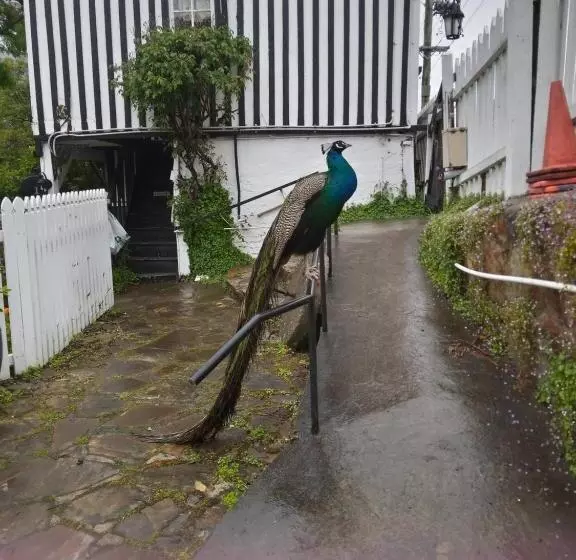 مبيت وإفطار Old Colony Inn