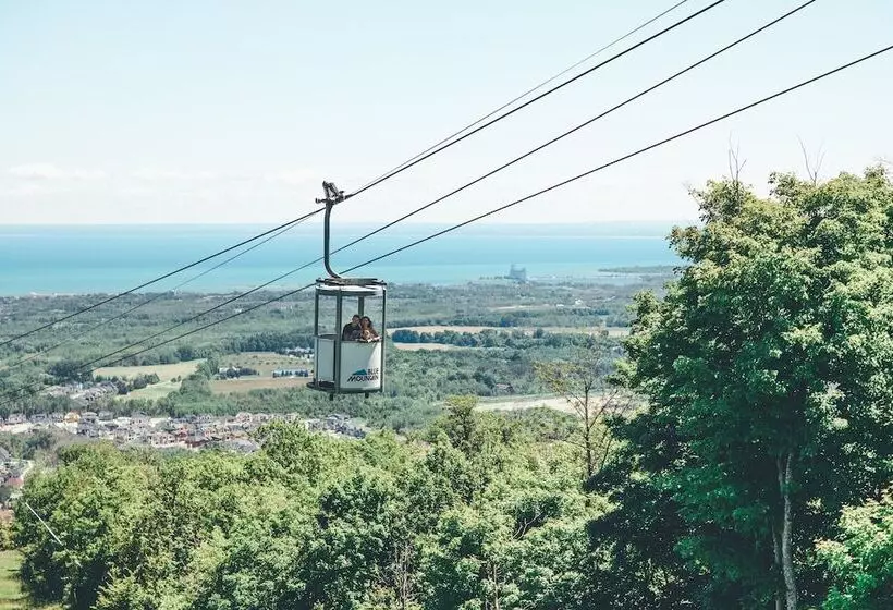 ホテル Blue Mountain Resort Inn