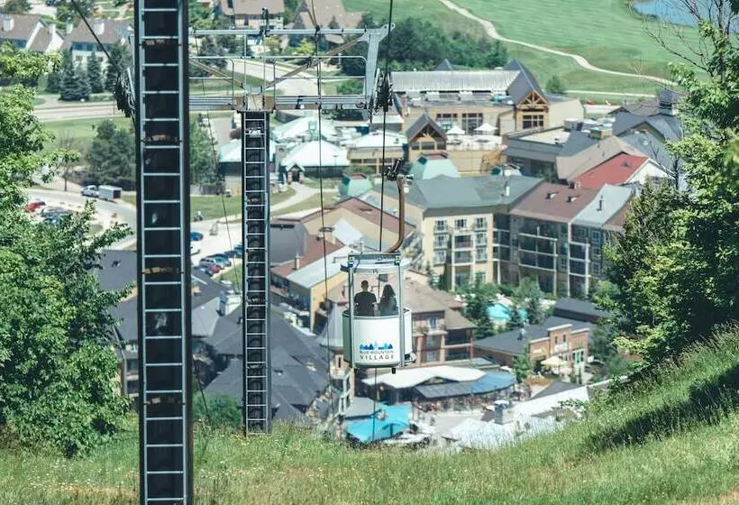 ホテル Blue Mountain Resort Inn