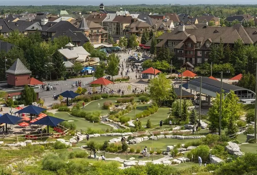 ホテル Blue Mountain Resort Inn