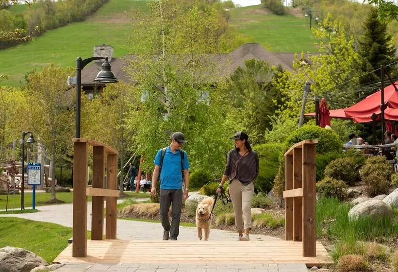 ホテル Blue Mountain Resort Inn