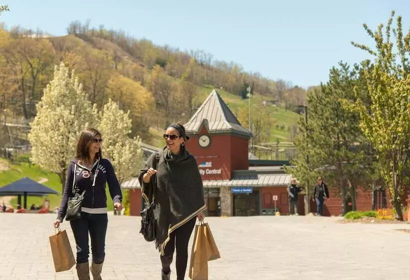 ホテル Blue Mountain Resort Inn