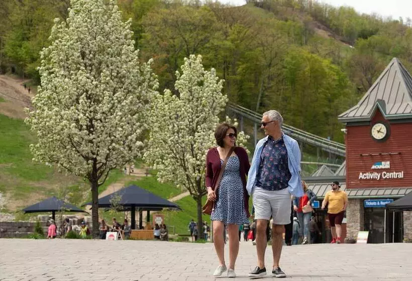 ホテル Blue Mountain Resort Inn