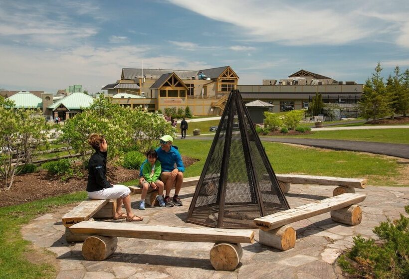 בית מלון כפרי Blue Mountain Resort Inn